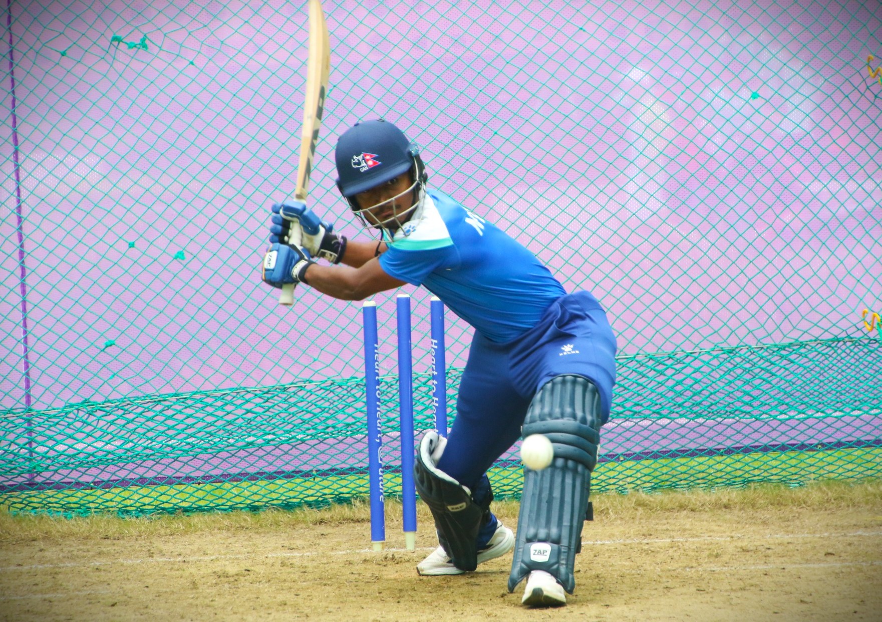 Rohit Paudel